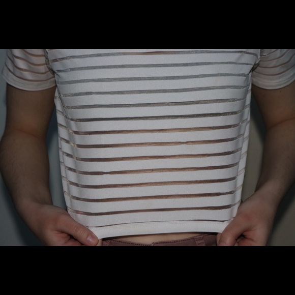 Mesh Striped Crop Top - Picture 4 of 4